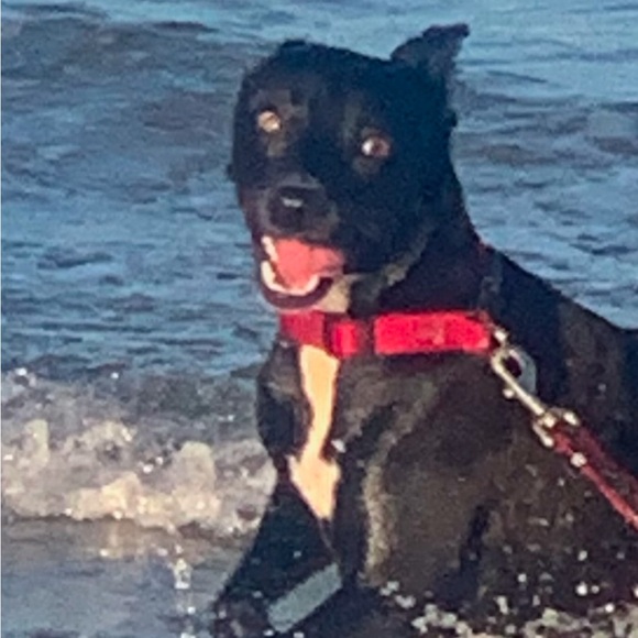 Meet your Posher, Christine - Picture 6 of 9